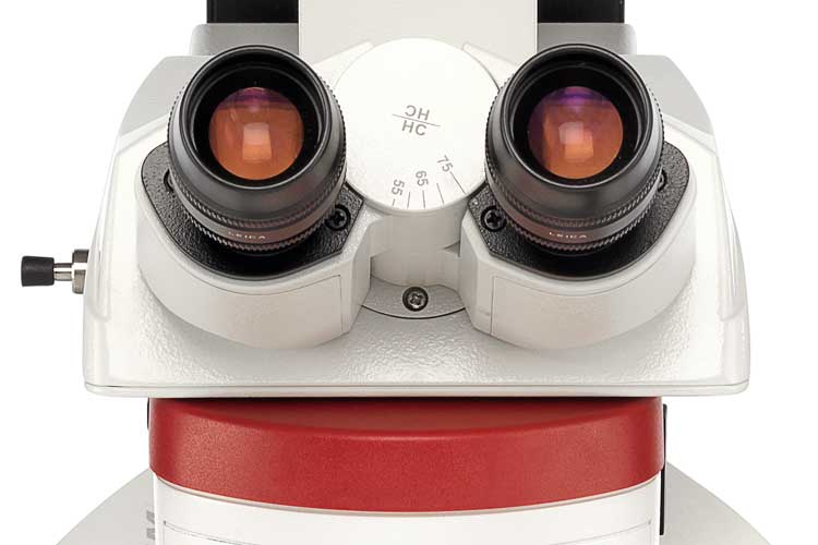  Leica徕卡DM4M/DM6M正置材料显微镜