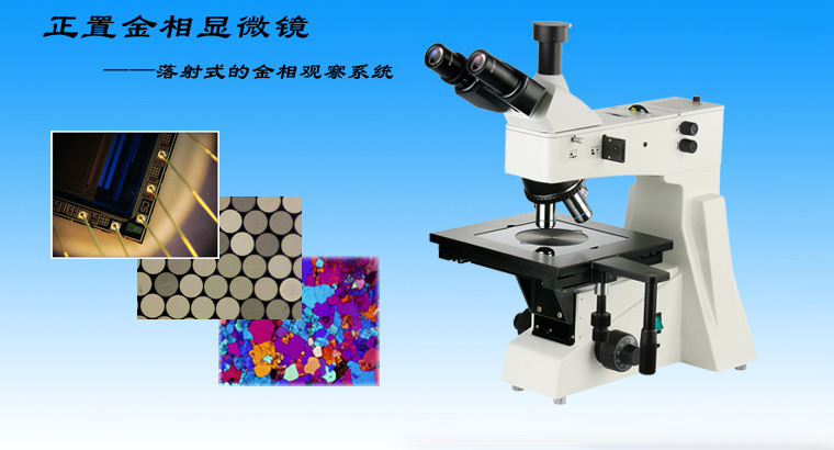 上海仪器有限公司检测显微镜