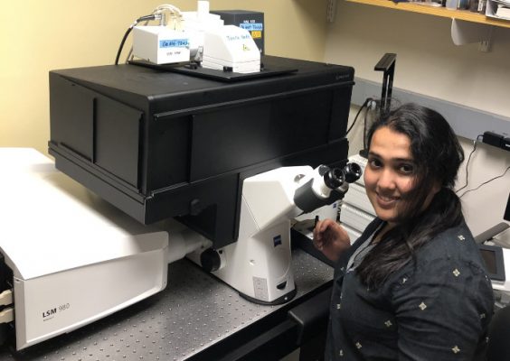 雪城大学首次获得S10资助用于购买共聚焦显微镜