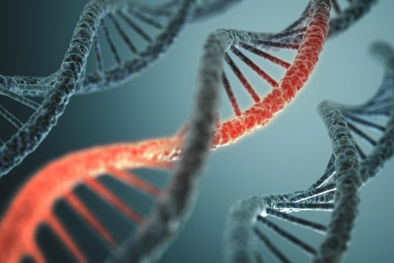 RNA分子控制癌细胞中受损人类DNA的修复