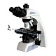 BL-610T实验室科研用多功能生物显微镜