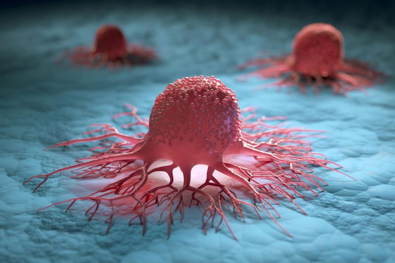 对癌症肿瘤的研究为新的治疗策略铺平了道路