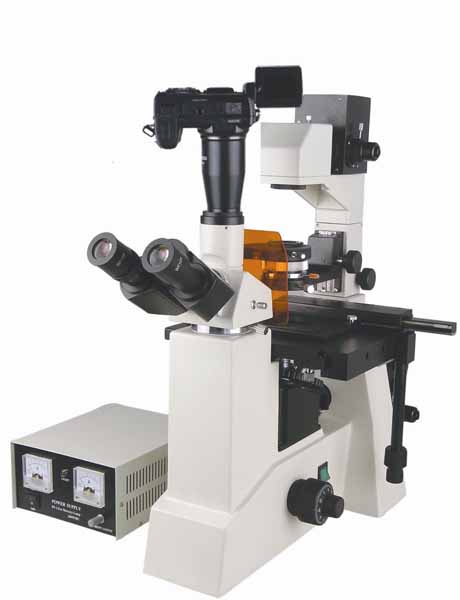 HFM-500D 荧光显微镜