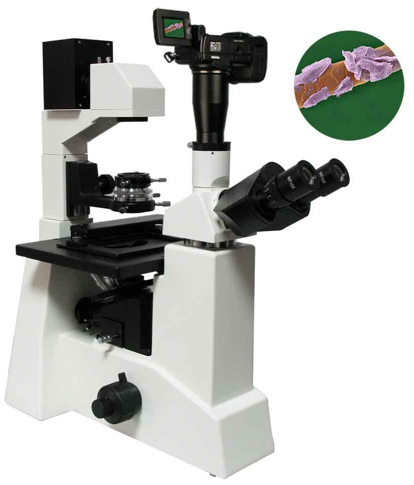 XSP-20CD 倒置生物显微镜