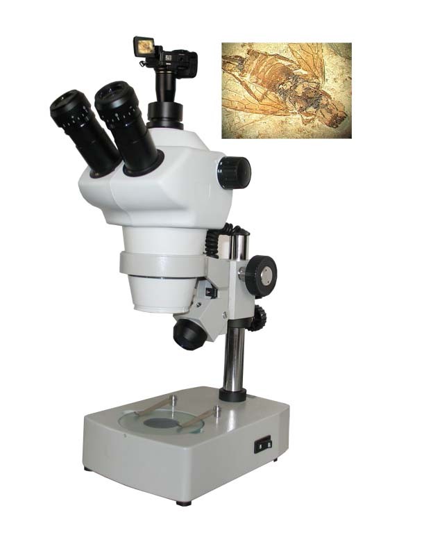 ZOOM-380D 立体显微镜