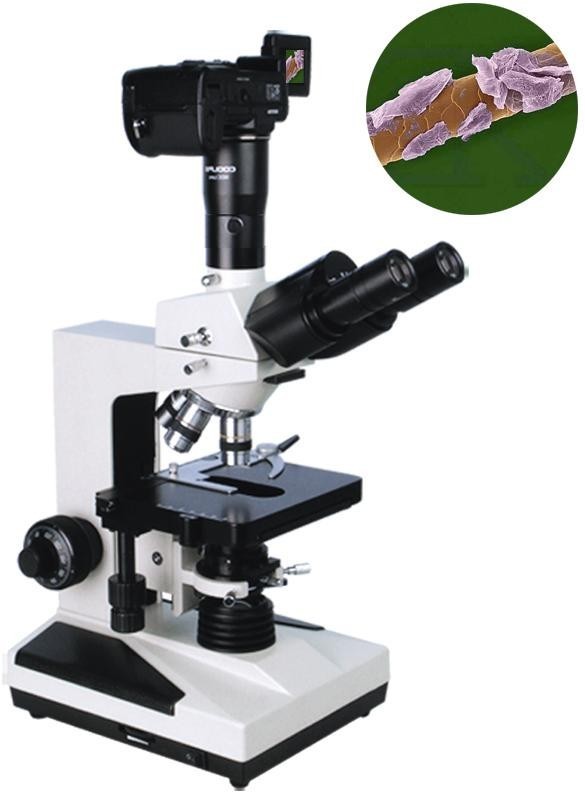 HPC-500D 相衬显微镜