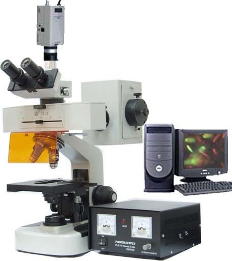 HFM-100P 荧光显微镜