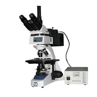 LW300-48LFT落射荧光显微镜