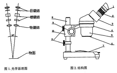 体视显微镜的介绍以及应用