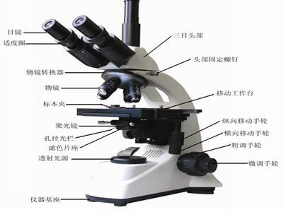 偏光显微镜的相关知识