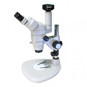 MZ81高性能大变倍连续变倍体视显微镜