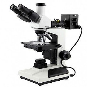CDM-560中档型正置金相显微镜