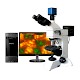 LWT300LPT透反射偏光显微镜