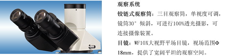 TL-1503落射偏光显微镜