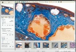 ProgRes CapturePro软件在生物显微镜中的应用