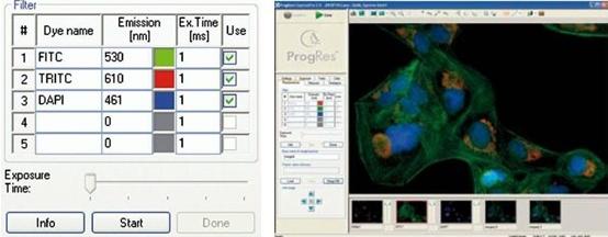 ProgRes CapturePro软件在生物显微镜中的应用