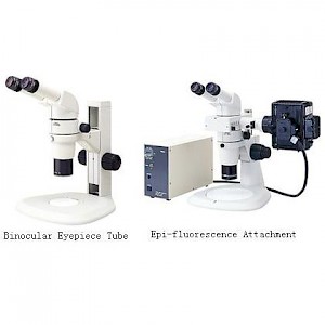SMZ800研究级体视显微镜