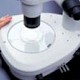 SMZ800研究级体视显微镜