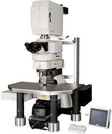 Ni新型正置研究级生物显微镜