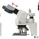 ECLIPSE Ci-E/Ci-L/Ci-S正置研究级生物显微镜