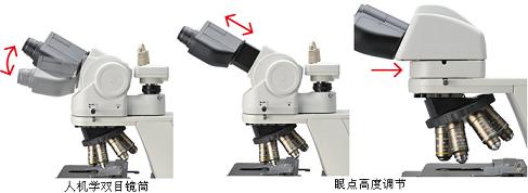 正置研究级生物显微镜ECLIPSE Ci-E/Ci-L/Ci-S