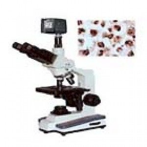 XSP6D 数码型生物显微镜