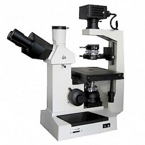 BD-S2倒置生物显微镜
