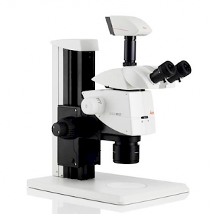 M125 徕卡立体显微镜