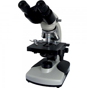 BM-11-2双目偏光显微镜