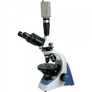 BM-57XCC三目偏光显微镜