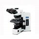 BX51-75E21PO-2专业偏光显微镜