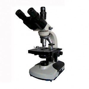 BM-11三目简易偏光显微镜