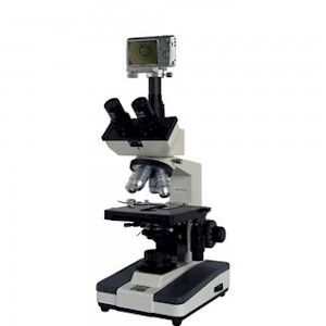 XSP-BM-10CAS三目正置生物显微镜