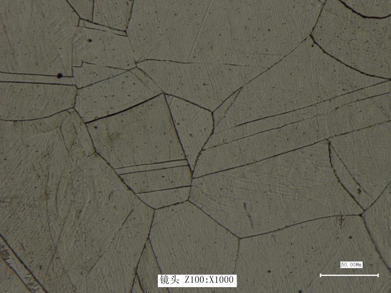 不锈钢材料实验金相图片分析