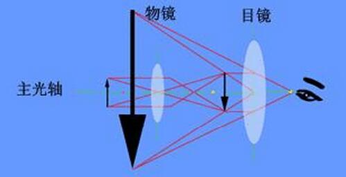 金相显微镜的放大倍数就是如何计算的?