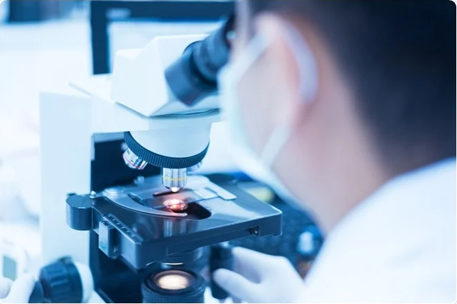 新技术可视化组织样本中的所有基因表达而不依赖显微镜