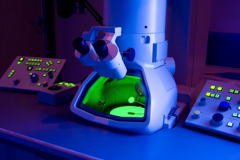 新的电子显微镜技术首次实时查看以前隐藏的过程