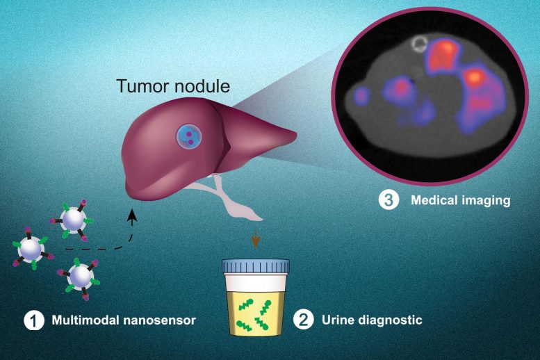 多模式癌症纳米传感器