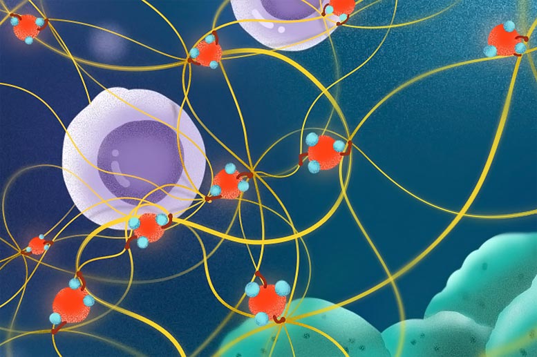 科学家发现污染空气如何改变肺组织，增加癌症患病概率