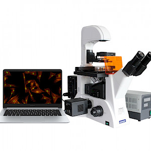 VMF400I科研级三目倒置荧光显微镜